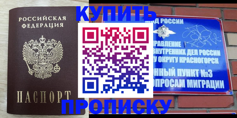 прописка гарантия в Ершове